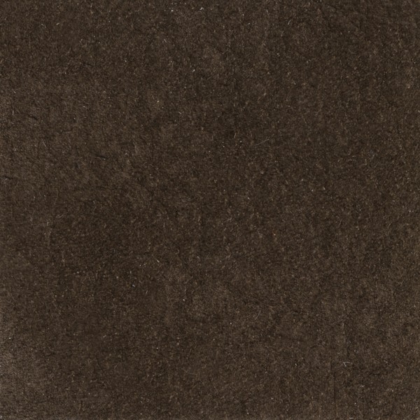 P3.N16
